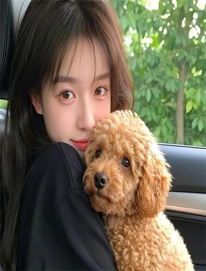 《二手狮王》故事脉络梳理值得回味的：主线与支线情节完整解读，4K超清